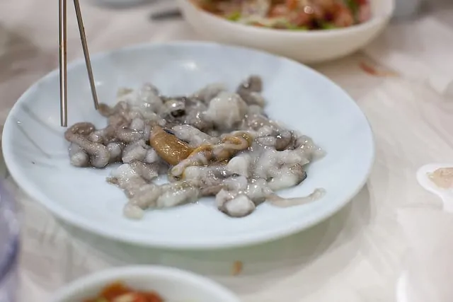 Sannakji (산낙지) – Live Octopus on a white plate