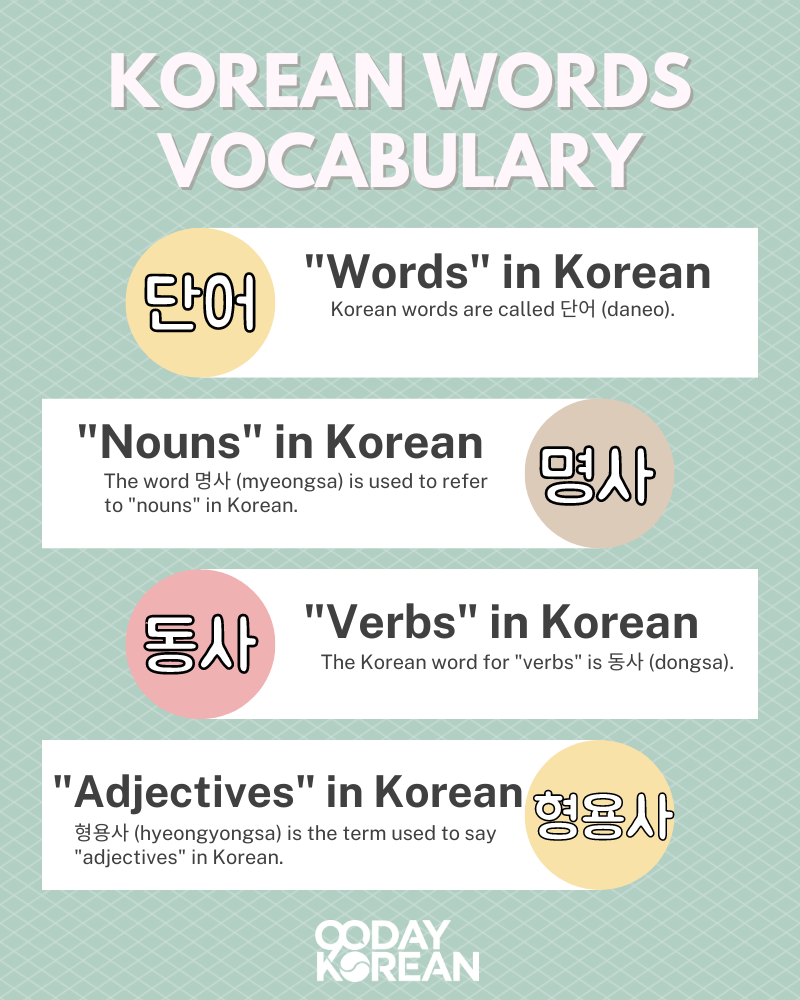 Korean Words Vocabulary infographic