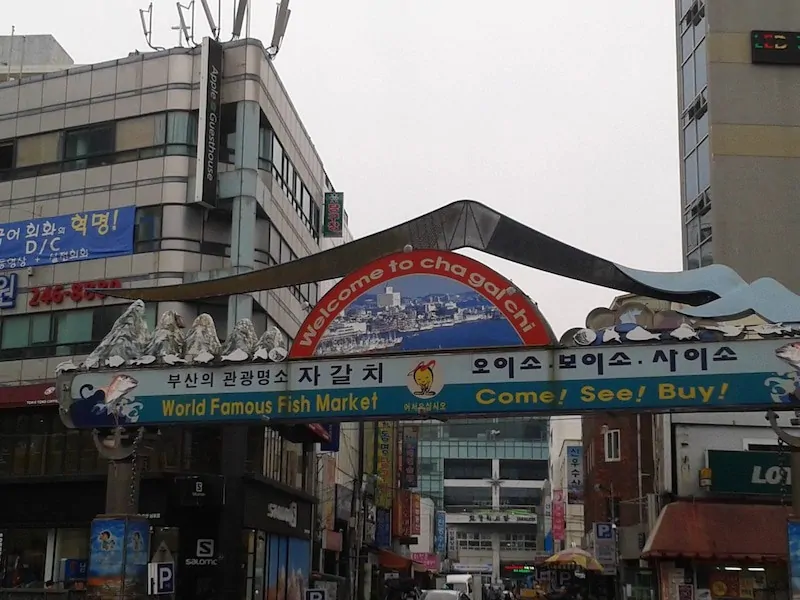 Jagalchi Market in Busan South Korea