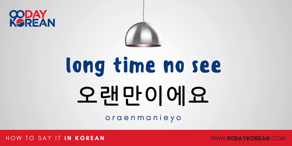 How to Say Hello in Korean Small In-post - bonus long time no see