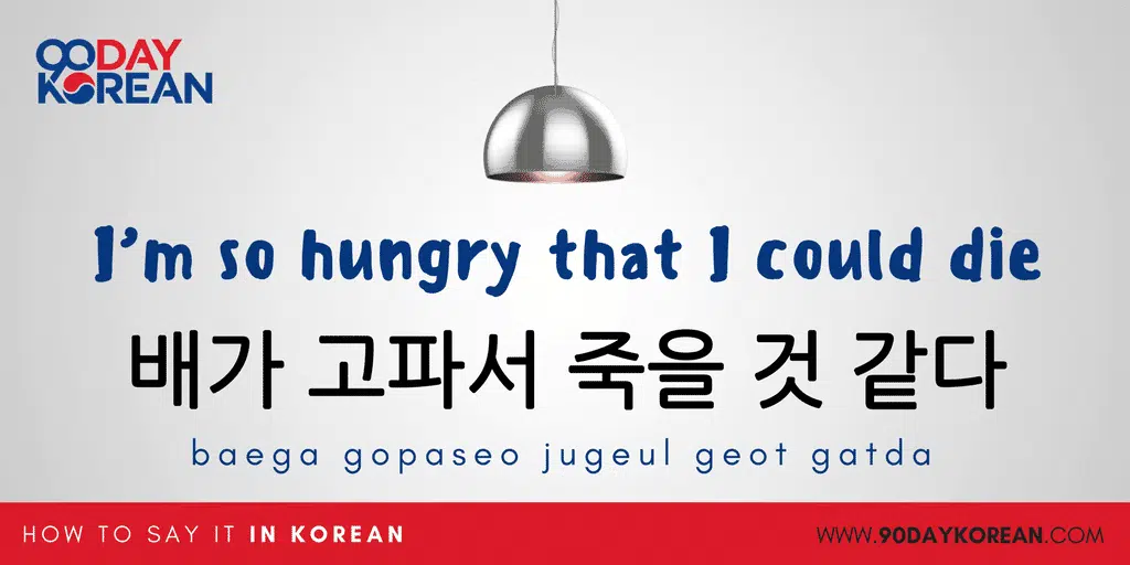 How to Say I'm Hungry in Korean - I'm so hungry that I could die