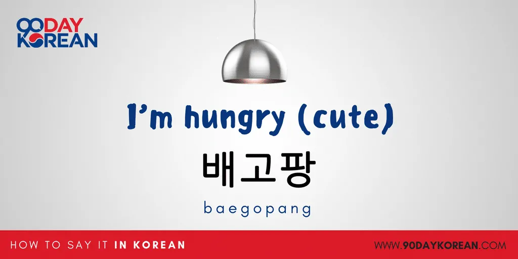 How to Say I'm Hungry in Korean - cute