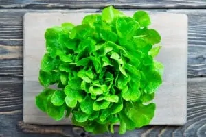 This image is to help explain the Korean joke about lettuce