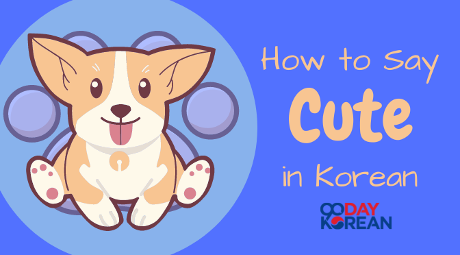 How to Say 'Cute' in Korean