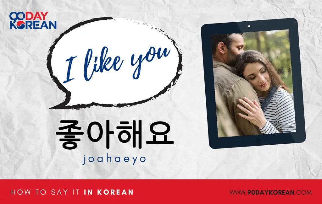 How to Say I Like You in Korean standard