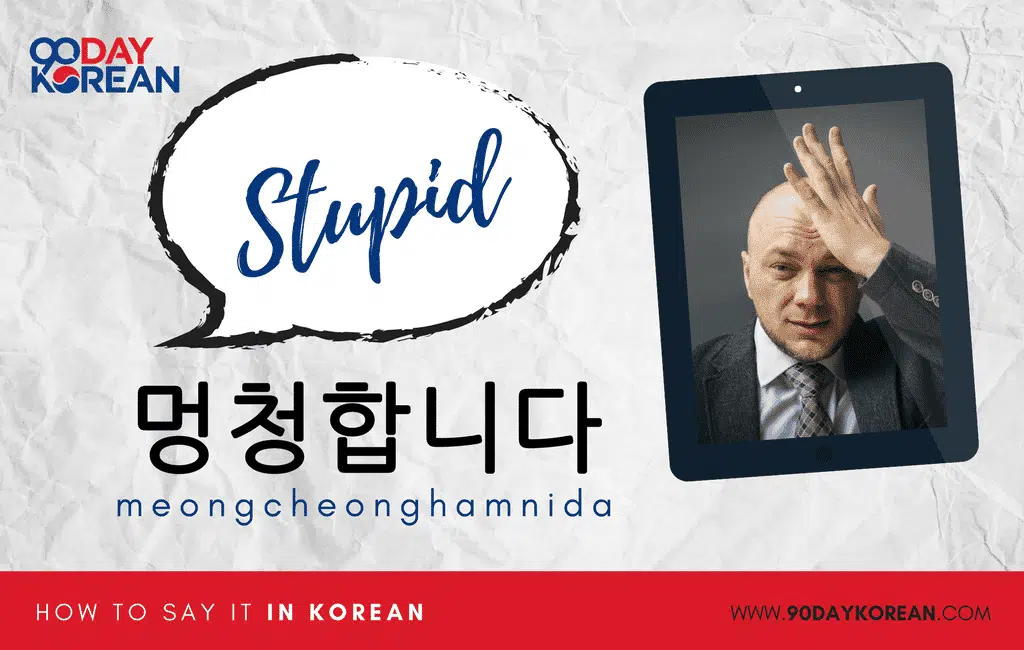How to Say Stupid in Korean formal