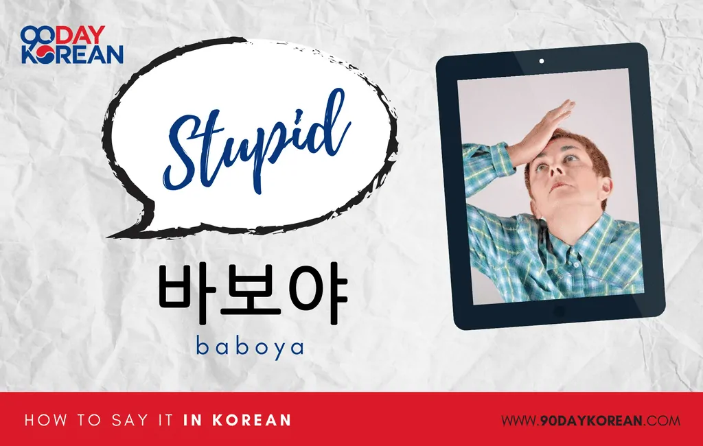 How to Say Stupid in Korean informal