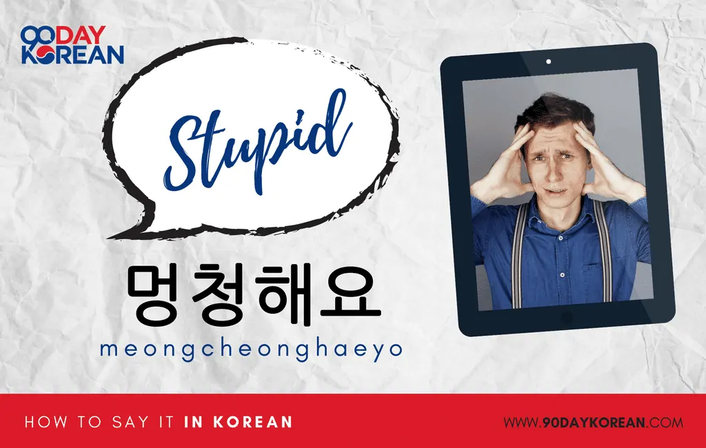 How to Say Stupid in Korean standard