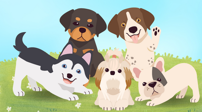 Five different dog breeds