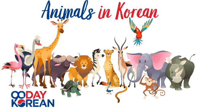 Animals in Korean | Koreabridge
