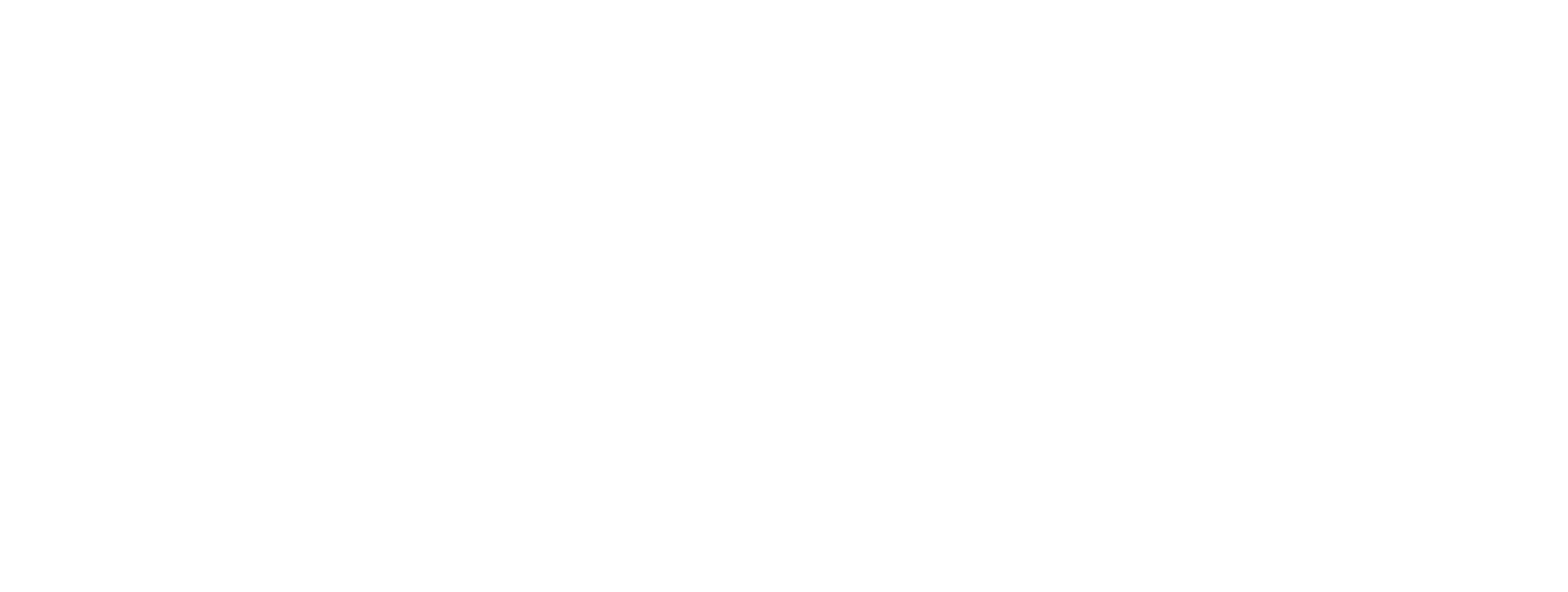 90 Day Korean White Logo