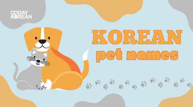 Korean pet names - Various ways to call your fur baby