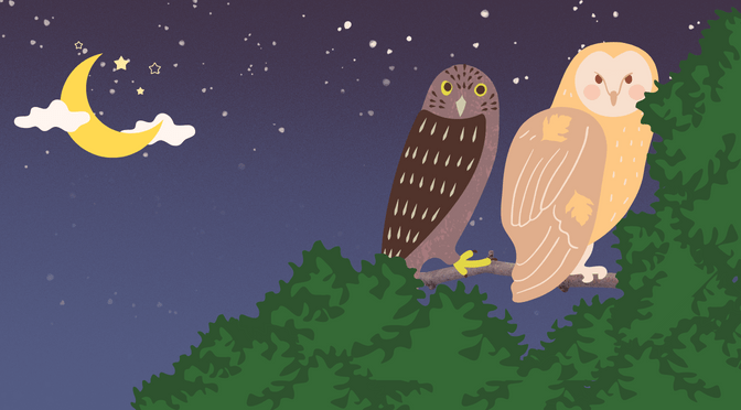 Two owls perched on a twig with the crescent moon behind them