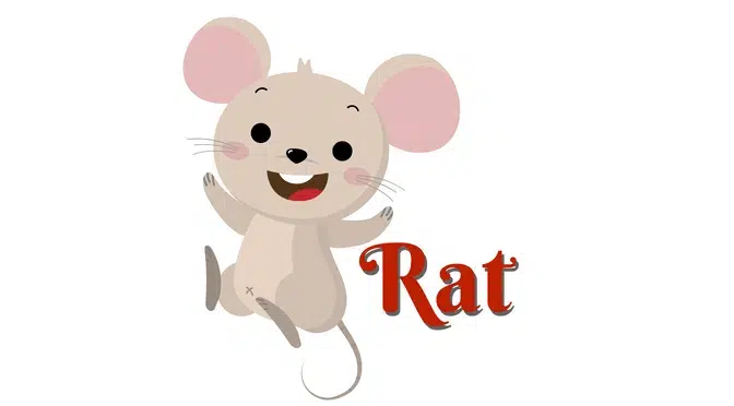 Korean Zodiac Sign: Rat
