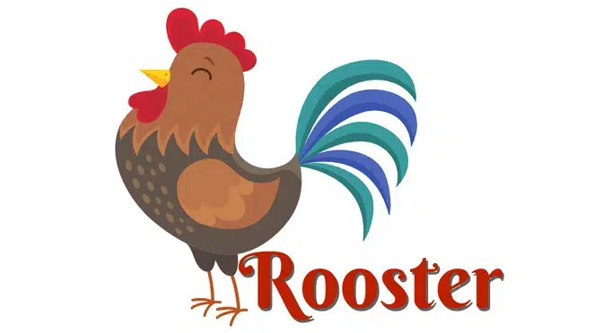Korean Zodiac Sign: Rooster